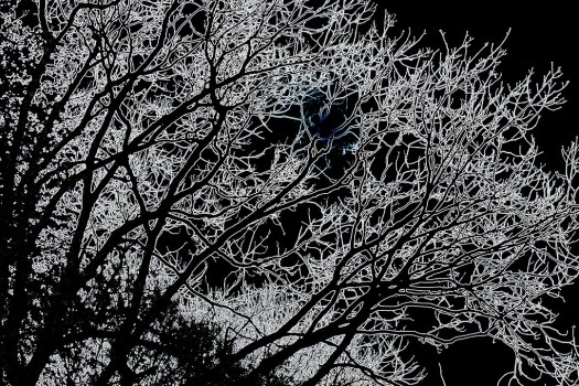 Abstract Glowing Tree in Front of a Blue Moon sm