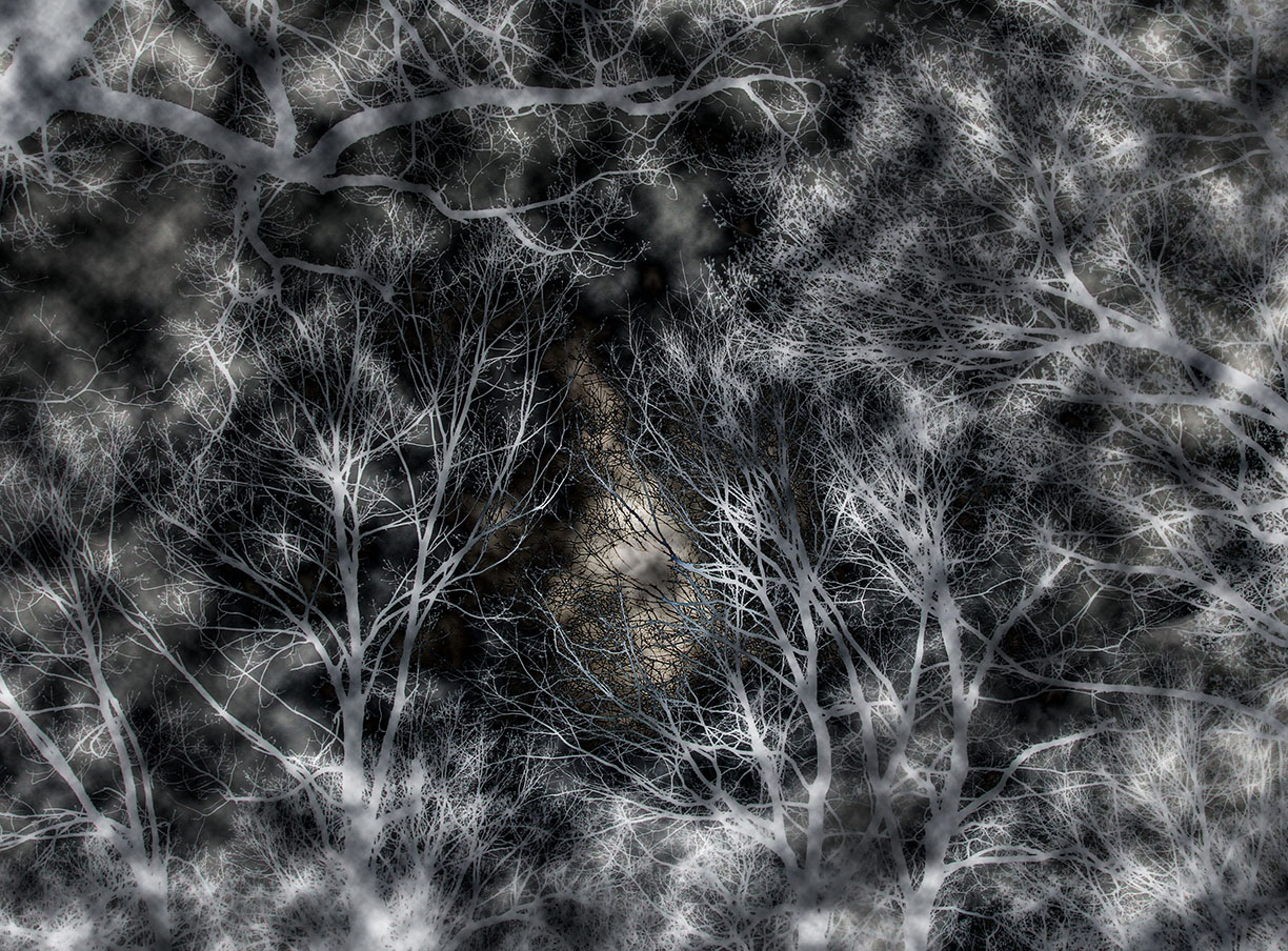 A Portal Through Mysterious Woods sm*